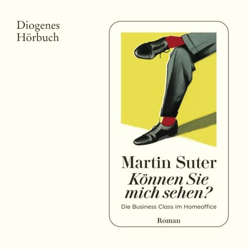 Können Sie mich sehen?