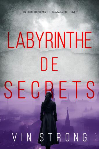 Labyrinthe de Secrets (Un thriller d'espionnage de Brianna Dagger — Tome 5)
