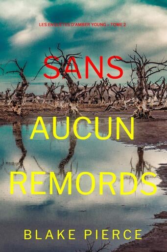Sans aucun remords (Les enquêtes d'Amber Young – Tome 2)