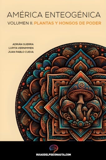 América Enteogénica Volumen II