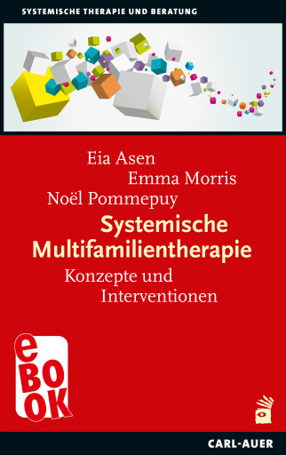 Systemische Multifamilientherapie