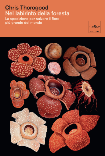 Portada del libro «Nel labirinto della foresta», de Chris Thorogood