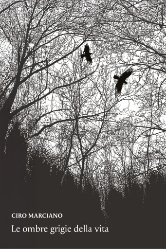 Le ombre grigie della vita