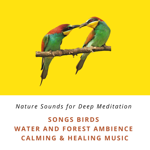 Nature Sounds for Deep Relaxation: Song Birds, Water & Forest Ambience, Bird Calls, Calming & Healing Music