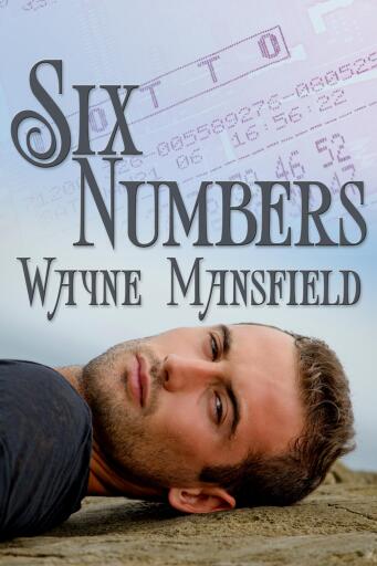 Portada del libro «Six Numbers», de Wayne Mansfield