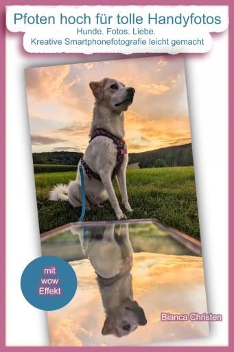 Pfoten hoch für tolle Handyfotos