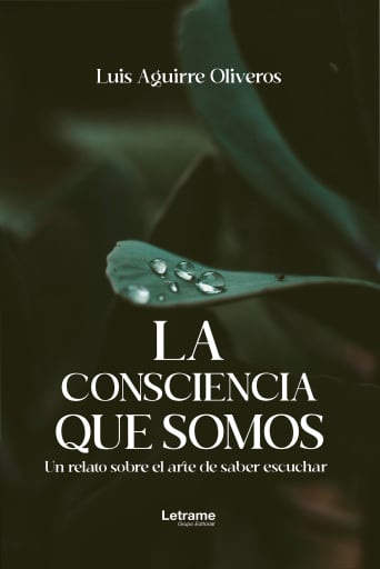 La consciencia que somos