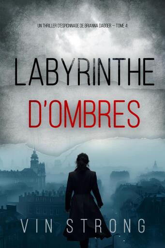 Labyrinthe d'ombres (Un thriller d'espionnage de Brianna Dagger — Tome 4)