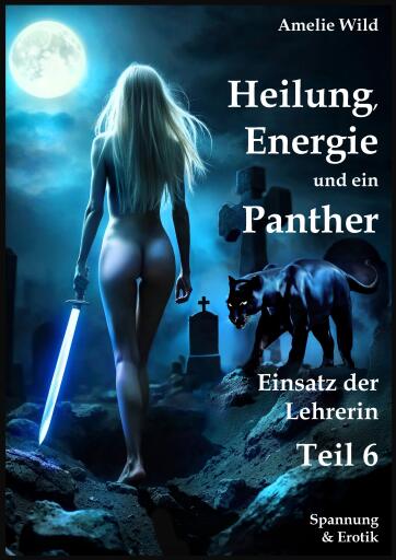 Portada del libro «Heilung, Energie und ein Panther», de Amelie Wild