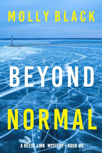 Portada del libro «Beyond Normal (A Reese Link Mystery—Book Five)», de Molly Black