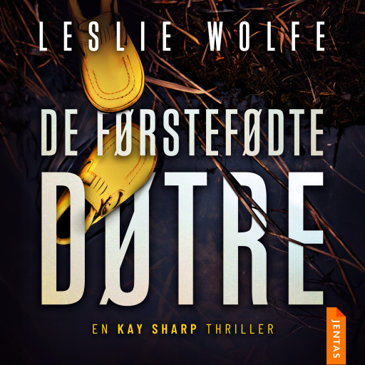 Portada del audiolibro «De førstefødte døtre», de Leslie Wolfe