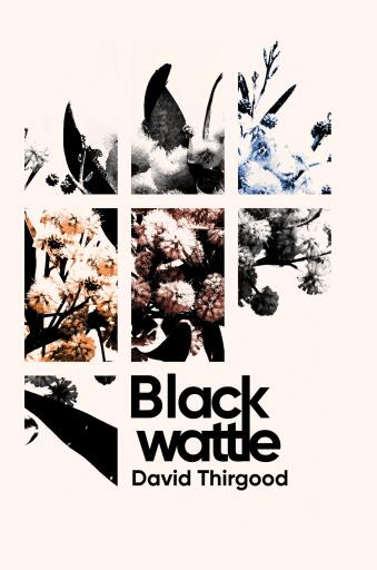 Portada del libro «Blackwattle», de David Thirgood