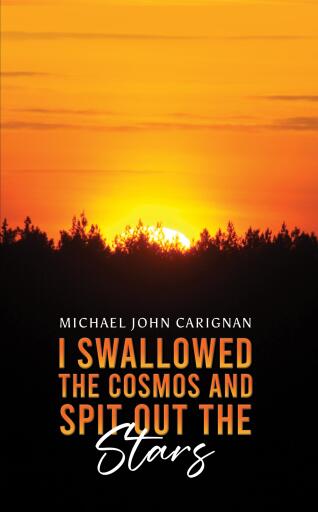 I Swallowed the Cosmos and Spit Out the Stars