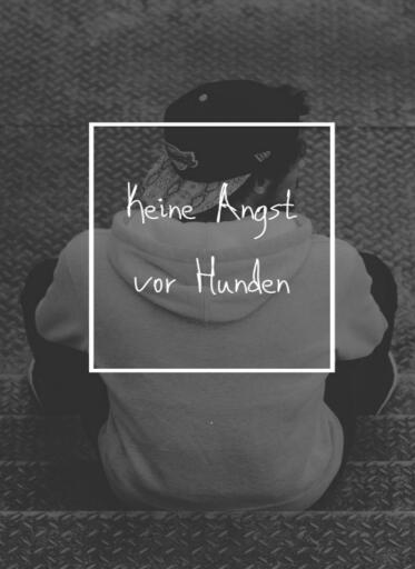 Portada del libro «Angst vor Hunden bewältigen - Keine Angst vor Hunden.», de Otmar Trierweiler