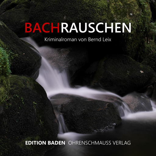 Portada del audiolibro «Bachrauschen», de Bernd Leix