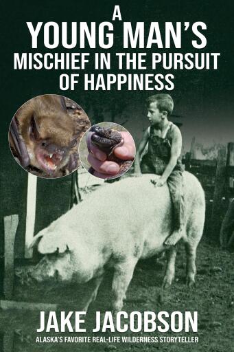 A Young Man's Mischief in the Pursuit of Happiness