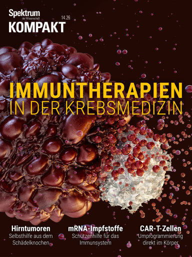 Spektrum Kompakt -Immuntherapien in der Krebsmedizin