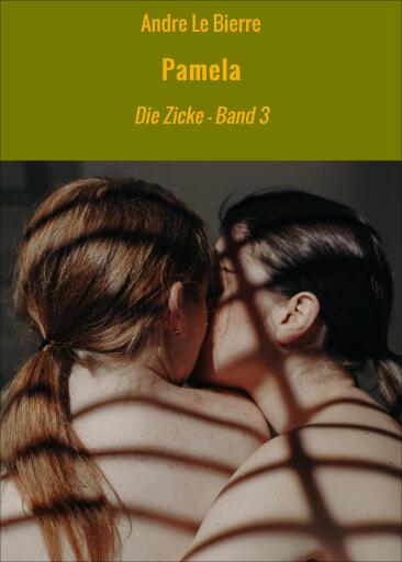 Portada del libro «Pamela», de Andre Le Bierre