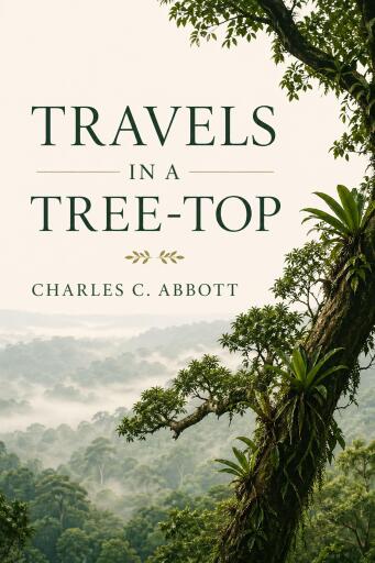 Travels in a Tree-top