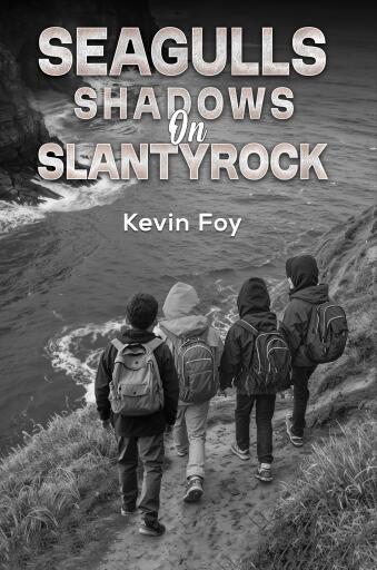 Seagulls Shadows on Slantyrock
