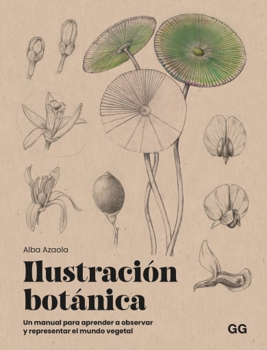 Ilustración botánica
