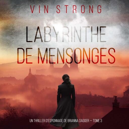 Labyrinthe de Mensonges (Un thriller d'espionnage de Brianna Dagger — Tome 3)