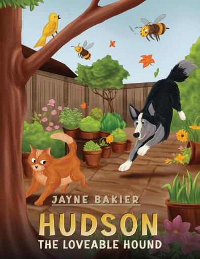 Portada del libro «Hudson», de Jayne Bakier