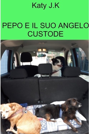 Portada del libro «PEPO E IL SUO ANGELO CUSTODE», de Katy J.K undefined