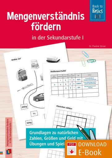 Mengenverständnis fördern in der Sekundarstufe I