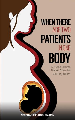 Portada del libro «When There Are Two Patients in One Body», de Stephanie Flood