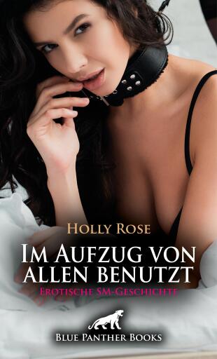 Portada del libro «Im Aufzug von allen benutzt | Erotische SM-Geschichte», de Holly Rose