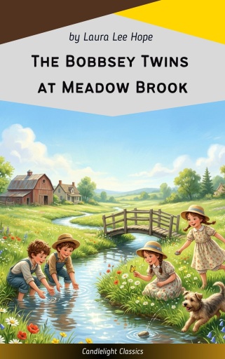 The Bobbsey Twins at Meadow Brook