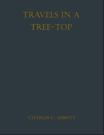 Travels in a Tree-top