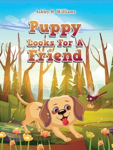 Puppy Looks For A Friend
