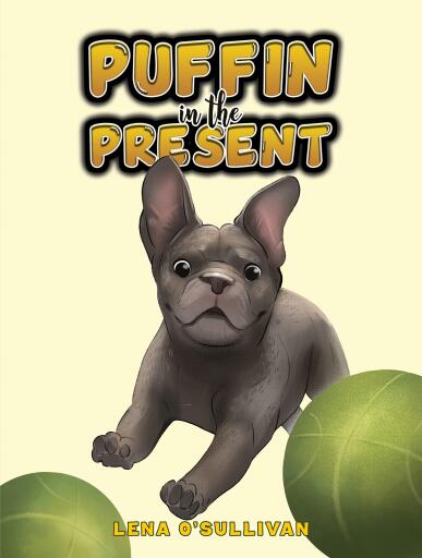 Portada del libro «Puffin in the Present», de Lena O'Sullivan