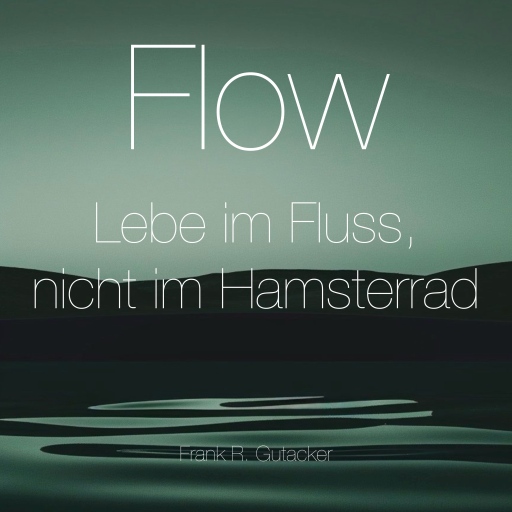 Portada del audiolibro «Flow», de Frank-Ringo Gutacker