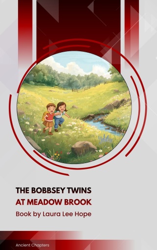 The Bobbsey Twins at Meadow Brook