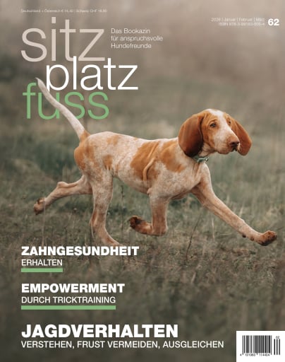 SitzPlatzFuss 62