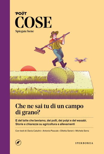 COSE Spiegate bene - Che ne sai tu di un campo di grano?