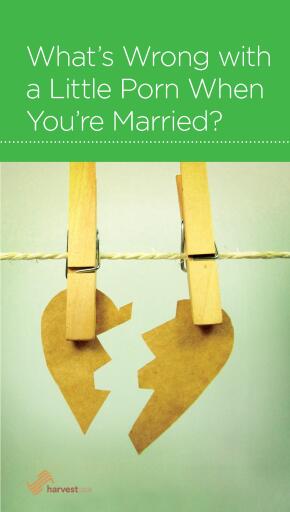What's Wrong with a Little Porn When You're Married?