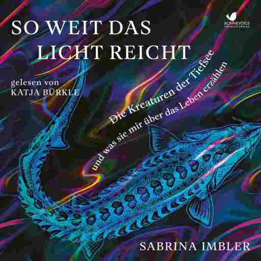 So weit das Licht reicht