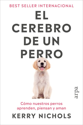 El cerebro de un perro