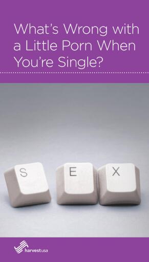 What's Wrong with a Little Porn When You're Single?