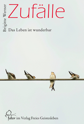 Portada del libro «Zufälle», de Brigitte Werner