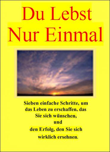 Du lebst nur einmal. Sieben einfache Schritte, um das Leben zu erschaffen, dasSie sich wünschen, und den Erfolg, den Sie sich wirklich ersehnen.
