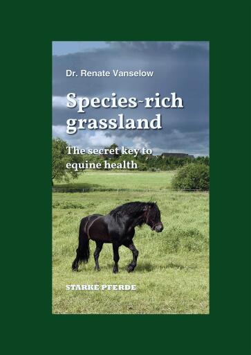 Species-Rich Grassland