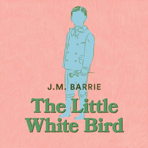 The Little White Bird