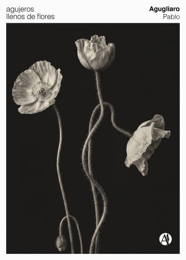 Agujeros llenos de flores