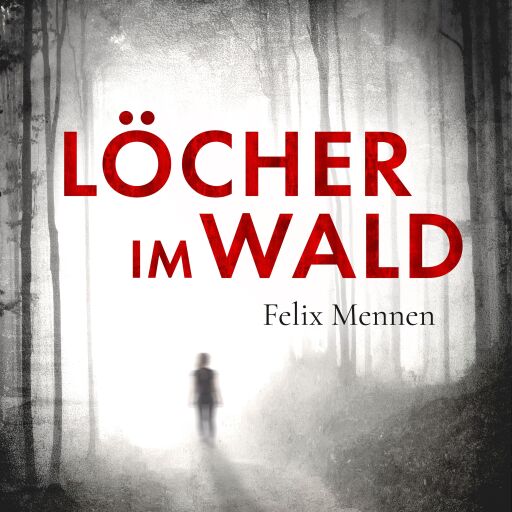 Portada del libro «Löcher im Wald», de Felix Mennen