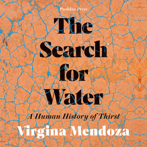 Portada del audiolibro «The Search for Water», de Virginia Mendoza